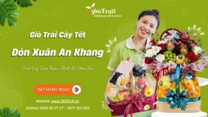 Giỏ Quà Trái Cây Tết: Hướng Dẫn Chọn Và Tặng Quà Chuẩn Nhất