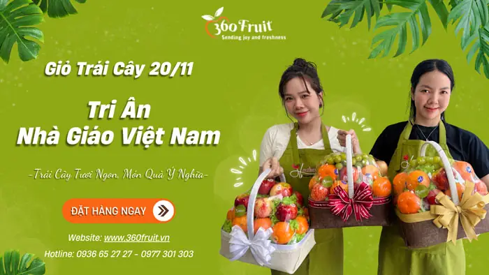 Giỏ Trái Cây Quà Tặng 20/11: Hướng Dẫn Chọn Lựa Chuẩn Nhất Giỏ Trái Cây Quà Tặng 20/11: Hướng Dẫn Chọn Lựa Chuẩn Nhất