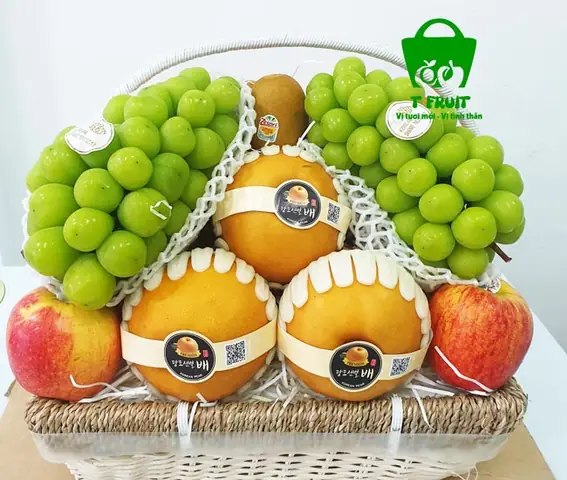 Hướng Dẫn Chọn Giỏ Trái Cây Quà Tặng HCM Hoàn Hảo Cho Mọi Dịp Hướng Dẫn Chọn Giỏ Trái Cây Quà Tặng HCM Hoàn Hảo Cho Mọi Dịp