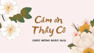 Gợi ý hình ảnh quà tặng 20 11 ý nghĩa cho thầy cô
