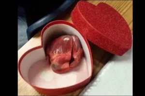 Tìm Hình Ảnh Quà Tặng Ngày 14 2: Gợi Ý Cho Món Quà Ý Nghĩa