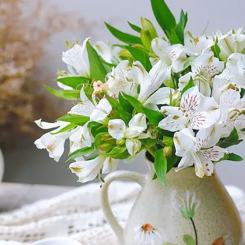 Gợi Ý Hoa Quà Ngày 8 3: Tặng Gì Để Thể Hiện Yêu Thương Chân Thành?
