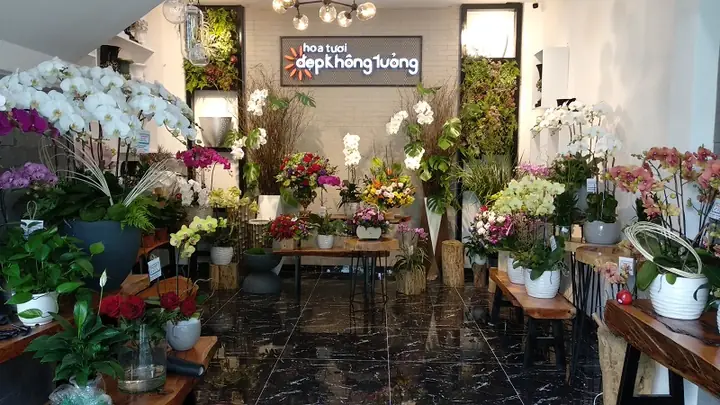Tuyển Tập Hoa Quà Sinh Nhật Đẹp: Gợi Ý Độc Đáo Cho Mọi Phong Cách Tuyển Tập Hoa Quà Sinh Nhật Đẹp: Gợi Ý Độc Đáo Cho Mọi Phong Cách