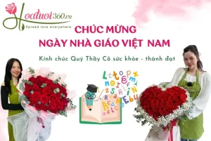 Gợi ý chọn hoa và quà 20 11 ý nghĩa tặng thầy cô