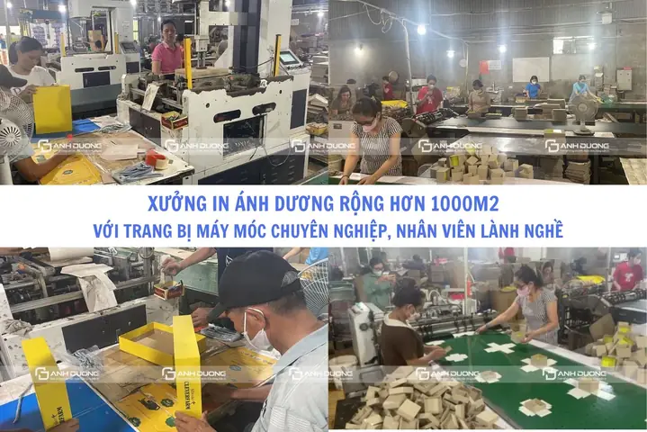 Hộp Carton Đựng Quà Tết: Xu Hướng Và Cách Tạo Ấn Tượng