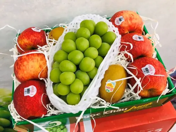 Hộp Gói Quà Giá Rẻ: Hướng Dẫn Chọn Lựa Và Tự Làm Độc Đáo
