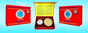 Đánh Giá Chi Tiết Hộp Quà Tết Yến Sào Fomeal Care Gold