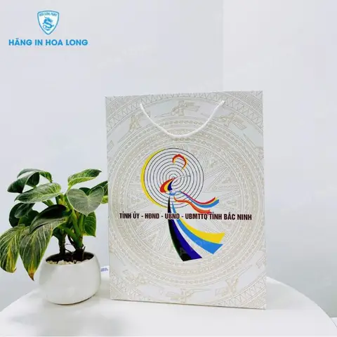Kích thước túi đựng quà: Hướng dẫn chi tiết chọn túi hoàn hảo