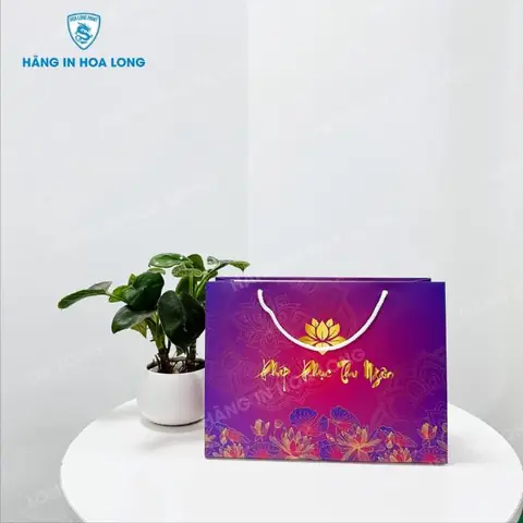Kích thước túi đựng quà: Hướng dẫn chi tiết chọn túi hoàn hảo