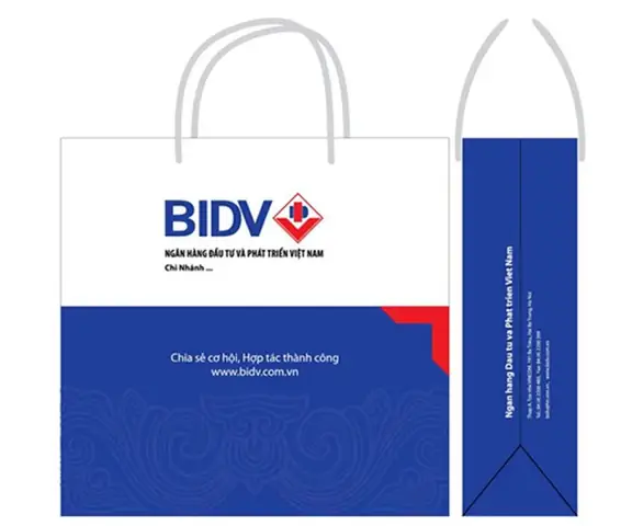 Mẫu Túi Giấy Đựng Quà: Hướng Dẫn Chọn Lựa Tinh Tế & Ý Nghĩa Mẫu Túi Giấy Đựng Quà: Hướng Dẫn Chọn Lựa Tinh Tế & Ý Nghĩa
