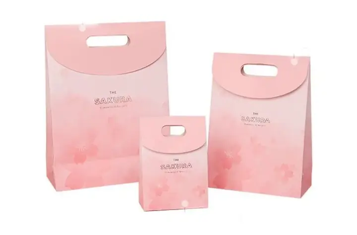 Mẫu Túi Giấy Đựng Quà: Hướng Dẫn Chọn Lựa Tinh Tế & Ý Nghĩa Mẫu Túi Giấy Đựng Quà: Hướng Dẫn Chọn Lựa Tinh Tế & Ý Nghĩa