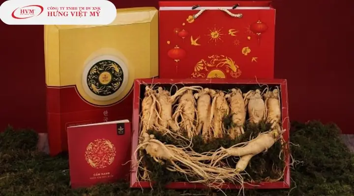 Chọn Món Quà Cho Sức Khỏe: Hướng Dẫn Toàn Diện & Tinh Tế