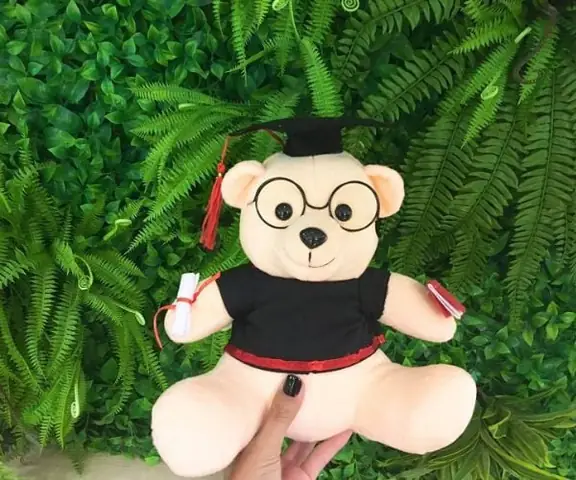 Gấu bông cử nhân