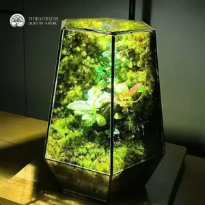 Món Quà Tự Tay Làm: Hướng Dẫn Chi Tiết Để Tặng Người Thương Yêu