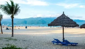 Mua Quà 8/3 Ở Đà Nẵng: Cẩm Nang Chọn Lựa Tinh Tế