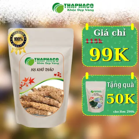 Mua Quà Gì Với 50K? Gợi Ý Những Món Quà Ý Nghĩa Không Ngờ