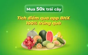 Mua Quà Gì Với 50K? Gợi Ý Những Món Quà Ý Nghĩa Không Ngờ