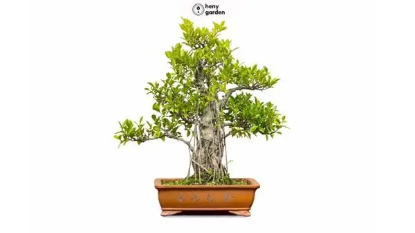Gợi Ý Mua Quà Tặng Mẹ 20/11 Ý Nghĩa & Thiết Thực Nhất