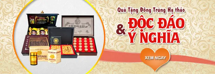 Nên Mua Quà Gì Tặng Thầy Cô Giáo? Gợi Ý Quà Tặng Ý Nghĩa