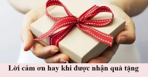 Hơn 50+ Câu Nói Hay Khi Được Tặng Quà Gây Ấn Tượng Sâu Sắc