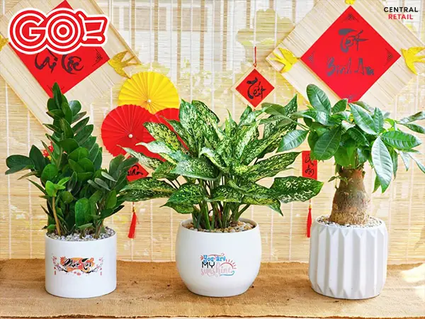 Những quà tặng ý nghĩa: Hướng dẫn chọn quà chạm đến trái tim