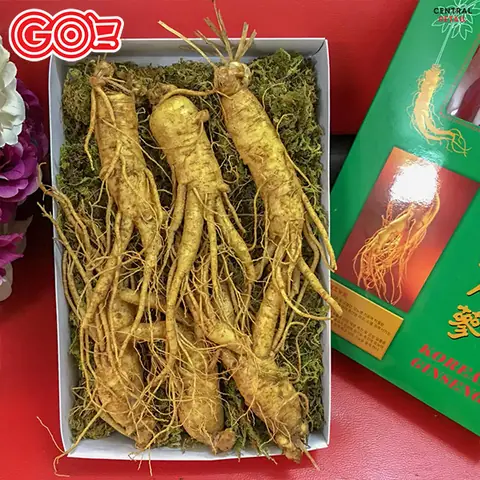 Những quà tặng ý nghĩa: Hướng dẫn chọn quà chạm đến trái tim