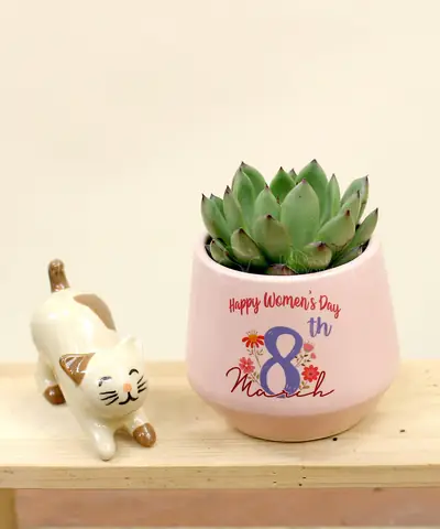 quà 8 3 cho nhân viên nữ quà 8 3 cho nhân viên nữ