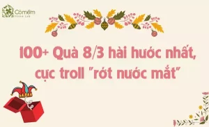 100+ Quà 8/3 hài hước nhất, cực troll "rớt nước mắt"