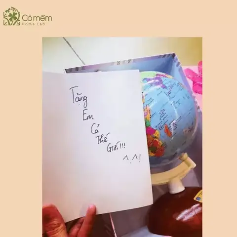 Những hình ảnh quà 8/3 hài hước, cực troll