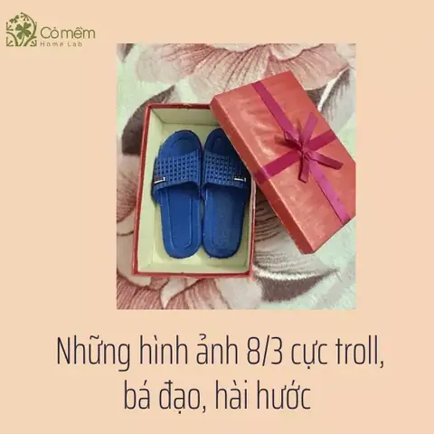 Những hình ảnh quà 8/3 hài hước, cực troll