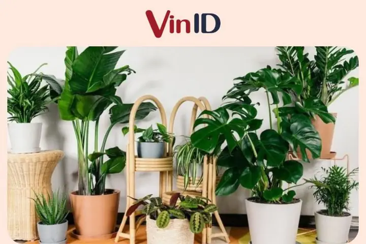 quà cho người lớn tuổi quà cho người lớn tuổi