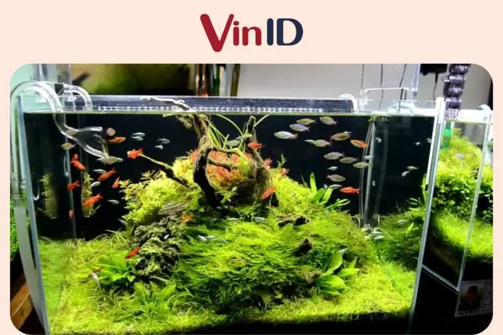 quà cho người lớn tuổi quà cho người lớn tuổi