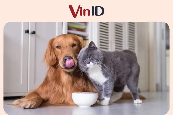 quà cho người lớn tuổi quà cho người lớn tuổi