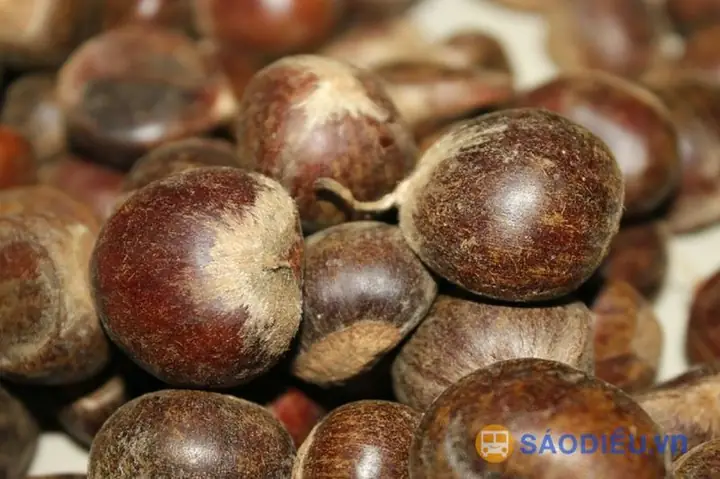 Quà Đặc Sản Cao Bằng: Nên Chọn Món Nào Ý Nghĩa Nhất?