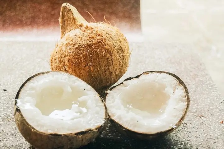 16. Dừa sáp Cầu Kè