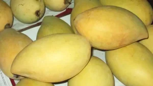 Khám phá 15+ món quà đặc sản Tiền Giang không thể bỏ qua