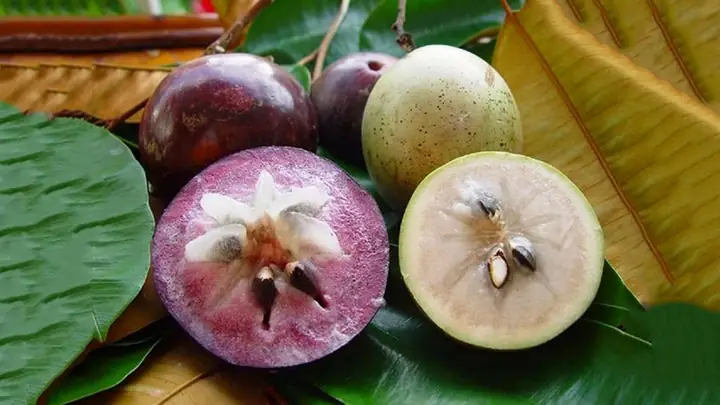 Khám phá 15+ món quà đặc sản Tiền Giang không thể bỏ qua