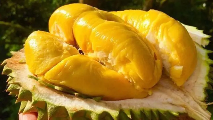 Khám phá 15+ món quà đặc sản Tiền Giang không thể bỏ qua