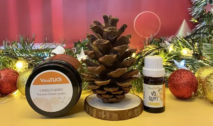 15+ Gợi Ý Quà Giáng Sinh Handmade Độc Đáo Tặng Người Thân
