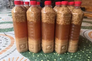 Quà Lưu Niệm Nghệ An: Gợi Ý Chọn Món Đậm Chất Xứ Nghệ