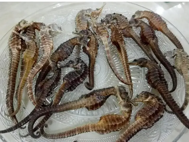 Cá ngựa khô Cá ngựa khô
