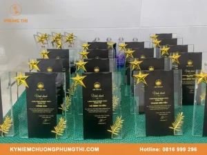 Ý nghĩa của kỷ niệm chương trong tiếng anh