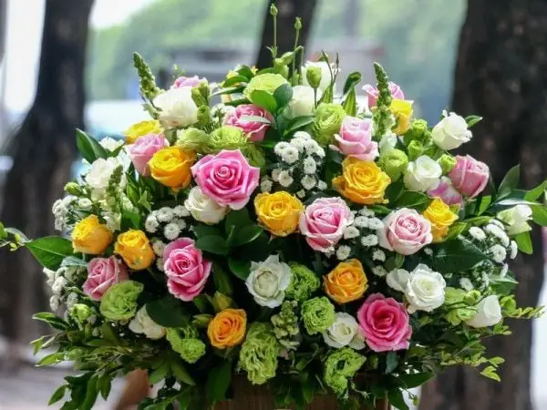 Quà Sinh Nhật 1 Triệu: 20+ Gợi Ý Độc Đáo, Tinh Tế Nên Chọn Quà Sinh Nhật 1 Triệu: 20+ Gợi Ý Độc Đáo, Tinh Tế Nên Chọn