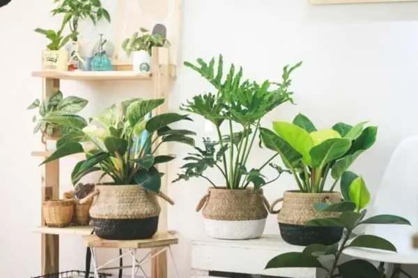 30+ Gợi Ý Quà Sinh Nhật Ấn Tượng & Ý Nghĩa Cho Mọi Đối Tượng