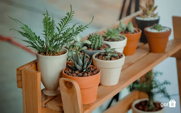 quà sinh nhật cho bạn thân quà sinh nhật cho bạn thân