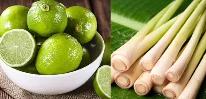 25+ Ý Tưởng Quà Sinh Nhật Cho Bạn Thân Lầy Lội: Gây Bất Ngờ & Hài Hước