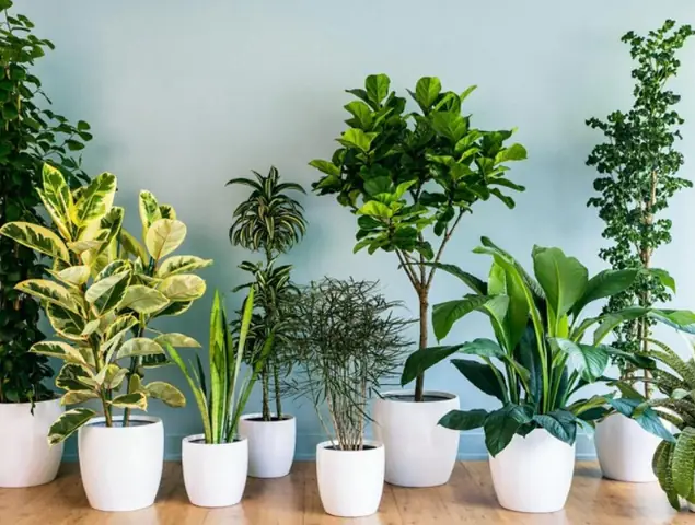 Chọn Quà Sinh Nhật Đáng Yêu Nào Để Tặng Bạn Trai Thật Ý Nghĩa? Chọn Quà Sinh Nhật Đáng Yêu Nào Để Tặng Bạn Trai Thật Ý Nghĩa?