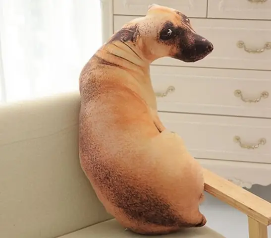 30+ Ý Tưởng Quà Sinh Nhật Vui Nhộn Đảm Bảo Gây Bất Ngờ