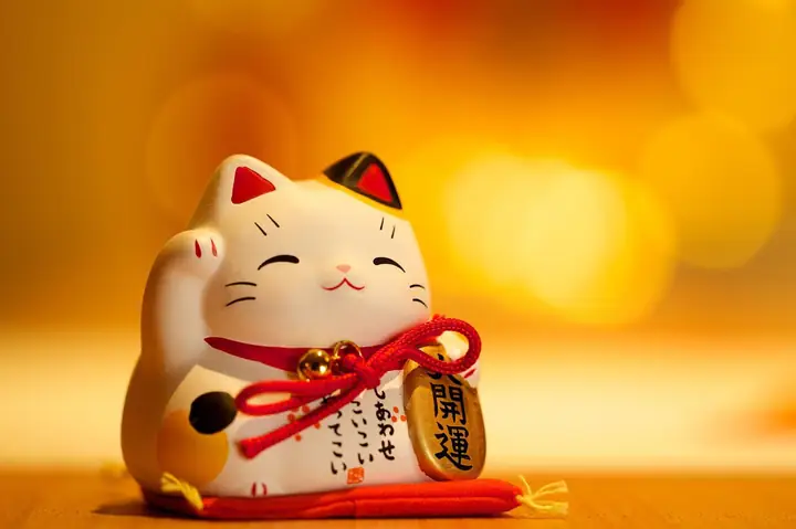 Mèo may mắn