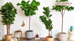 quà tân gia dưới 500k